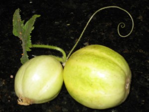 Garden Produce Sept 2009_002