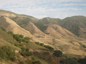 IMG_2652 (1)