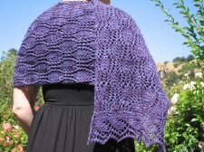 Hardenburgia Shawl