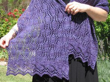 Hardenburgia Shawl