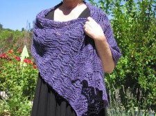 Hardenburgia Shawl