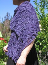 Hardenburgia Shawl